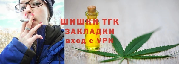 шишки Кинешма