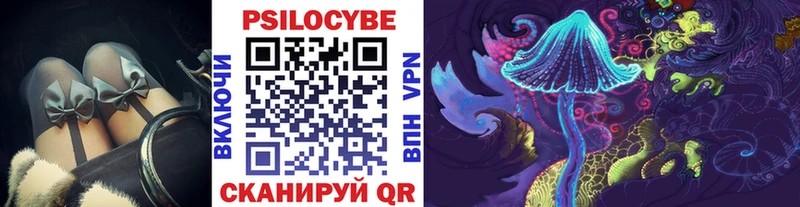 Псилоцибиновые грибы мицелий  Кизляр 
