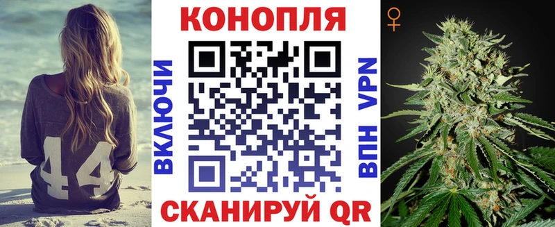 Бошки Шишки гибрид  Кизляр 